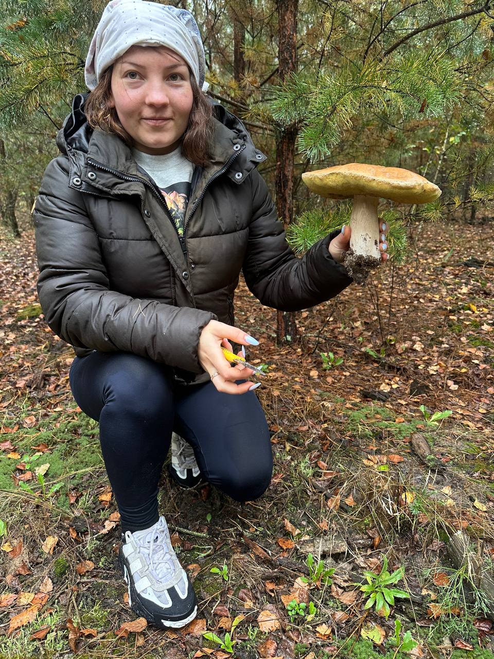 Mushroom hunting trip, photo 2
